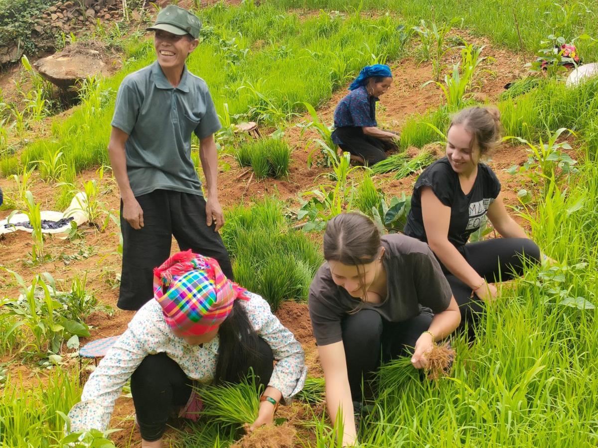 Indigenous Homestay- Trek- Food- Bus Mu Cang Chai Zewnętrze zdjęcie
