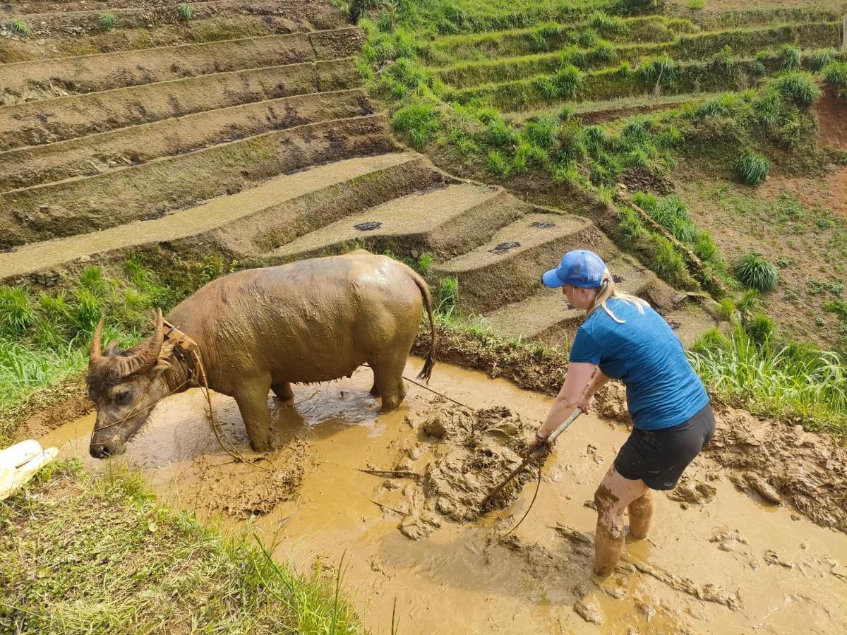 Indigenous Homestay- Trek- Food- Bus Mu Cang Chai Zewnętrze zdjęcie