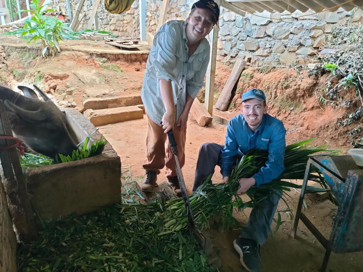 Indigenous Homestay- Trek- Food- Bus Mu Cang Chai Zewnętrze zdjęcie