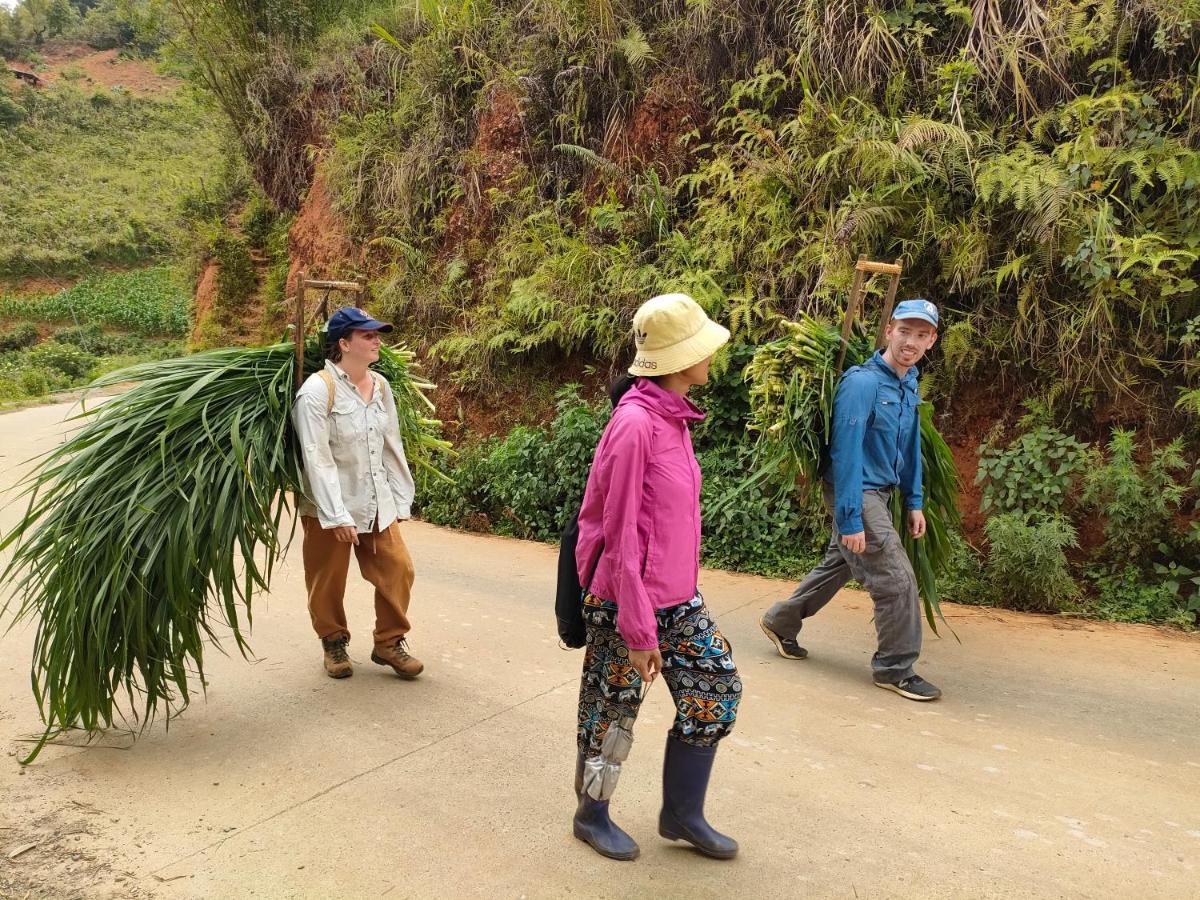 Indigenous Homestay- Trek- Food- Bus Mu Cang Chai Zewnętrze zdjęcie