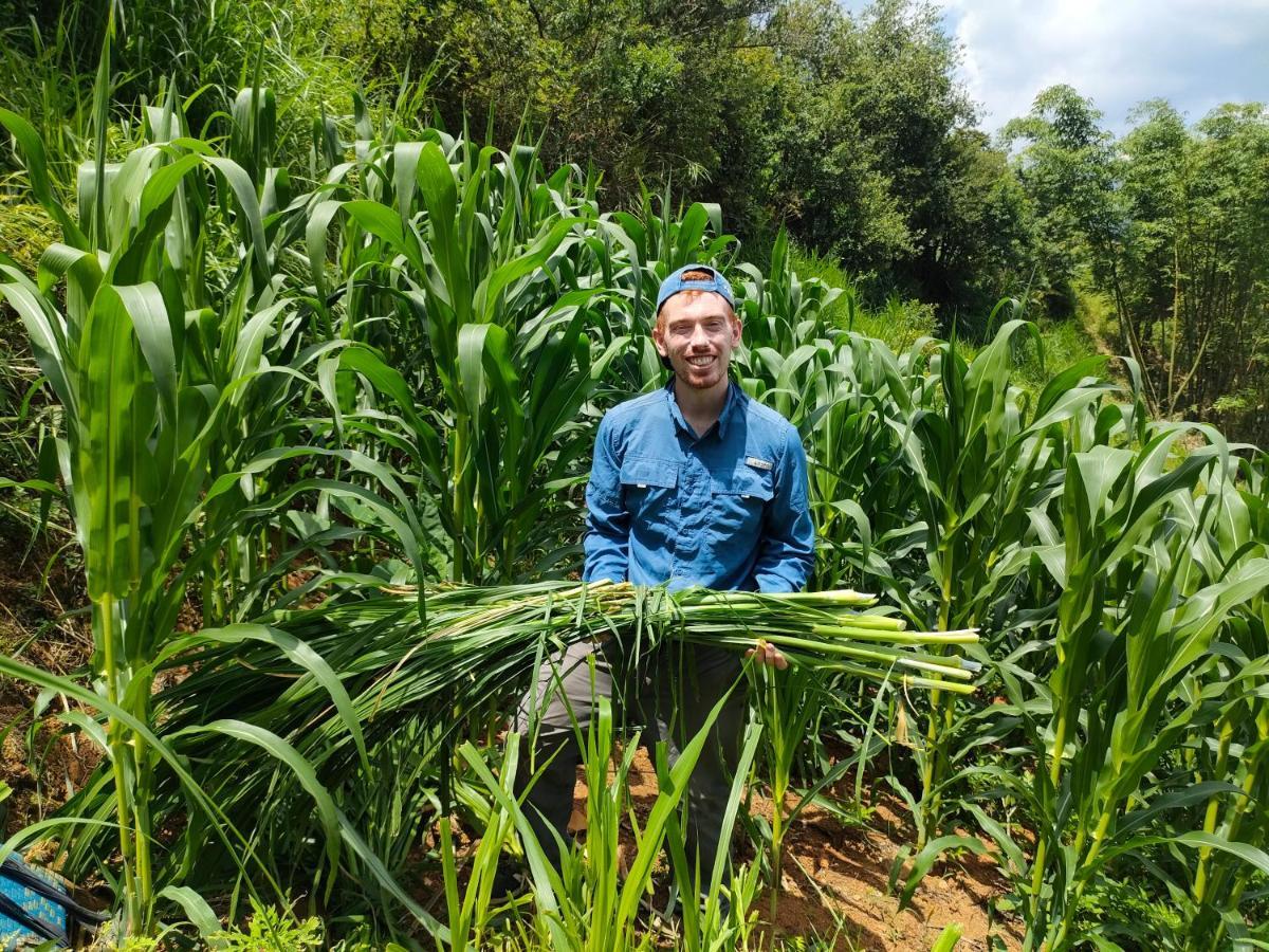 Indigenous Homestay- Trek- Food- Bus Mu Cang Chai Zewnętrze zdjęcie