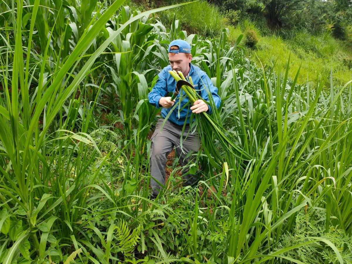 Indigenous Homestay- Trek- Food- Bus Mu Cang Chai Zewnętrze zdjęcie