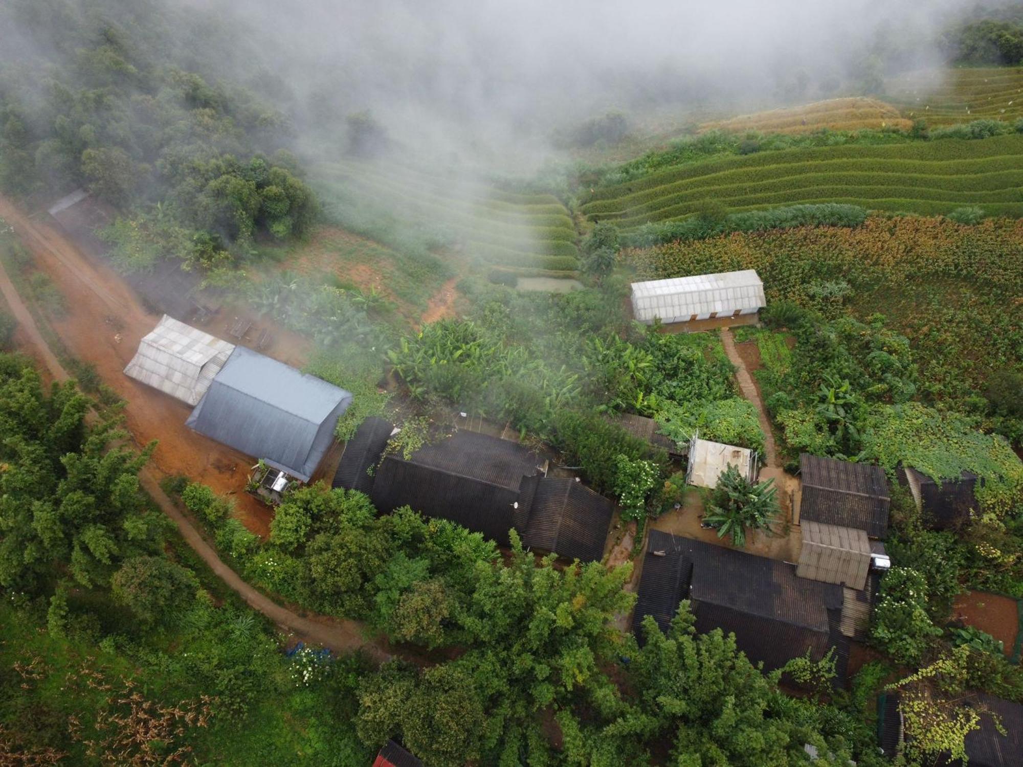 Indigenous Homestay- Trek- Food- Bus Mu Cang Chai Zewnętrze zdjęcie