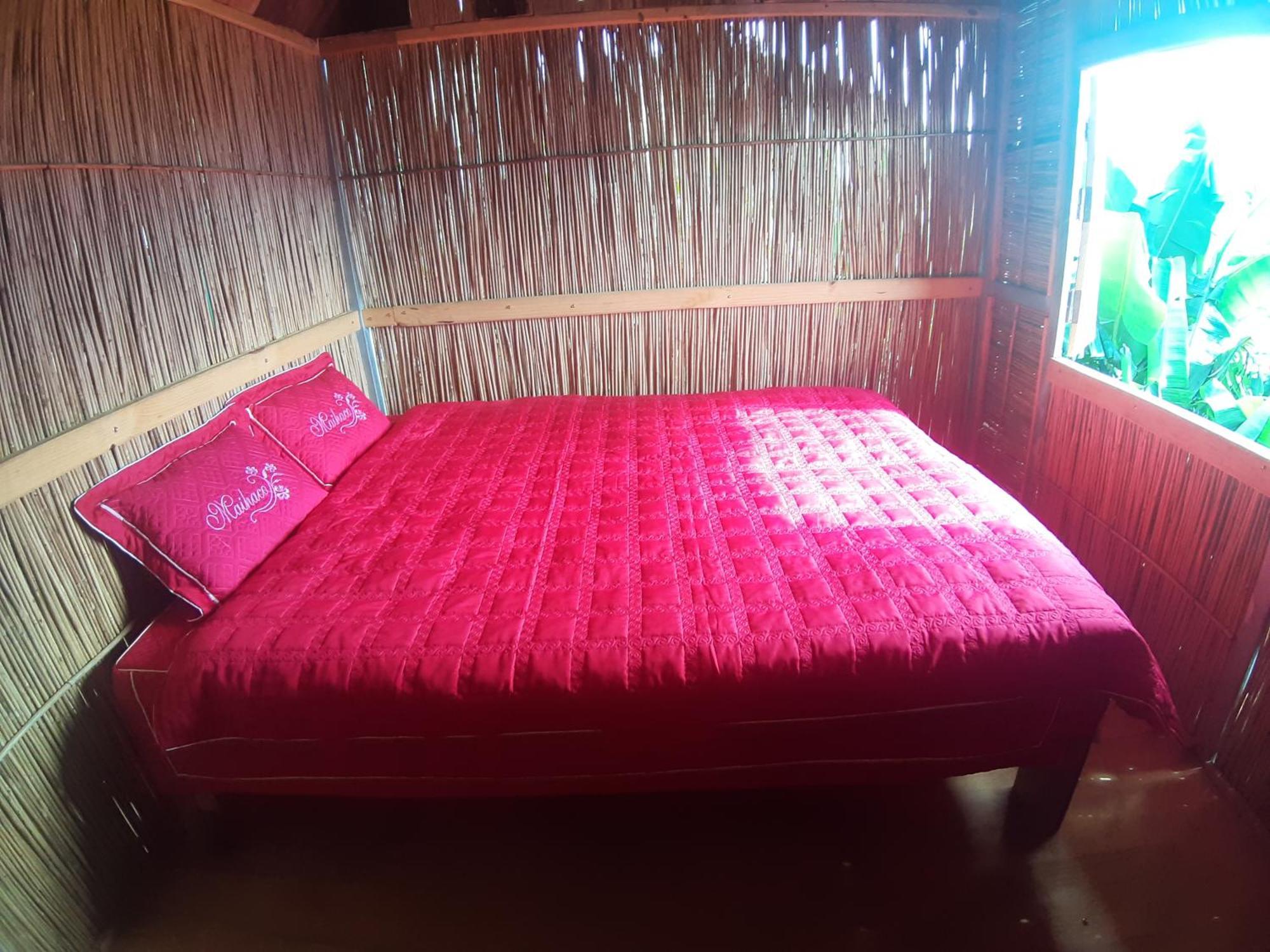 Indigenous Homestay- Trek- Food- Bus Mu Cang Chai Pokój zdjęcie
