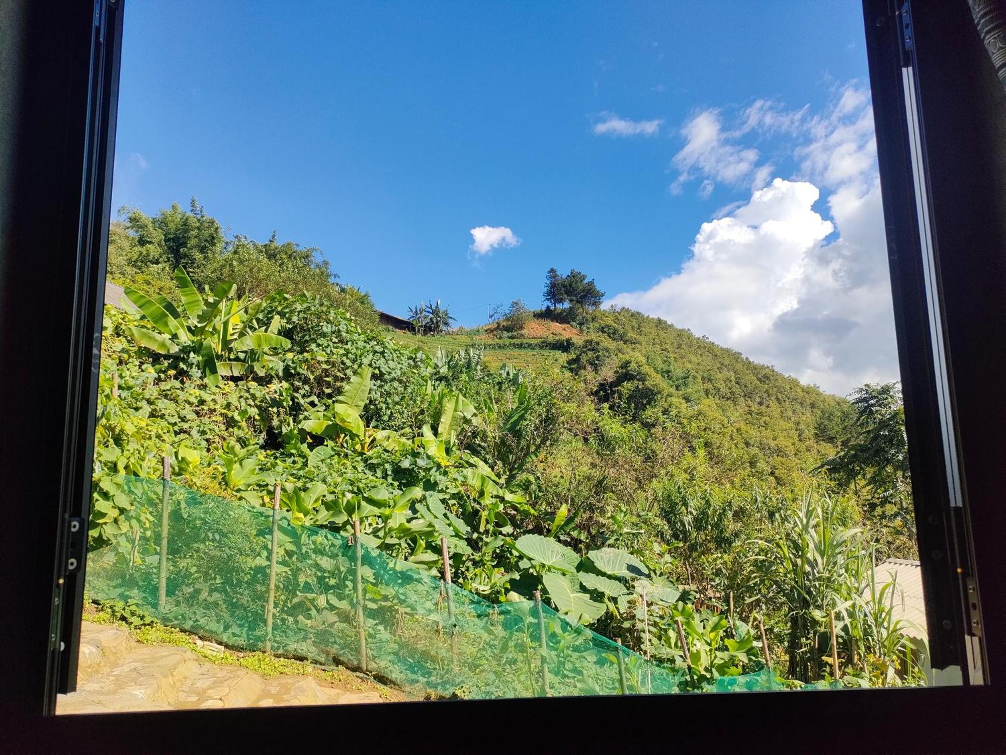 Indigenous Homestay- Trek- Food- Bus Mu Cang Chai Pokój zdjęcie