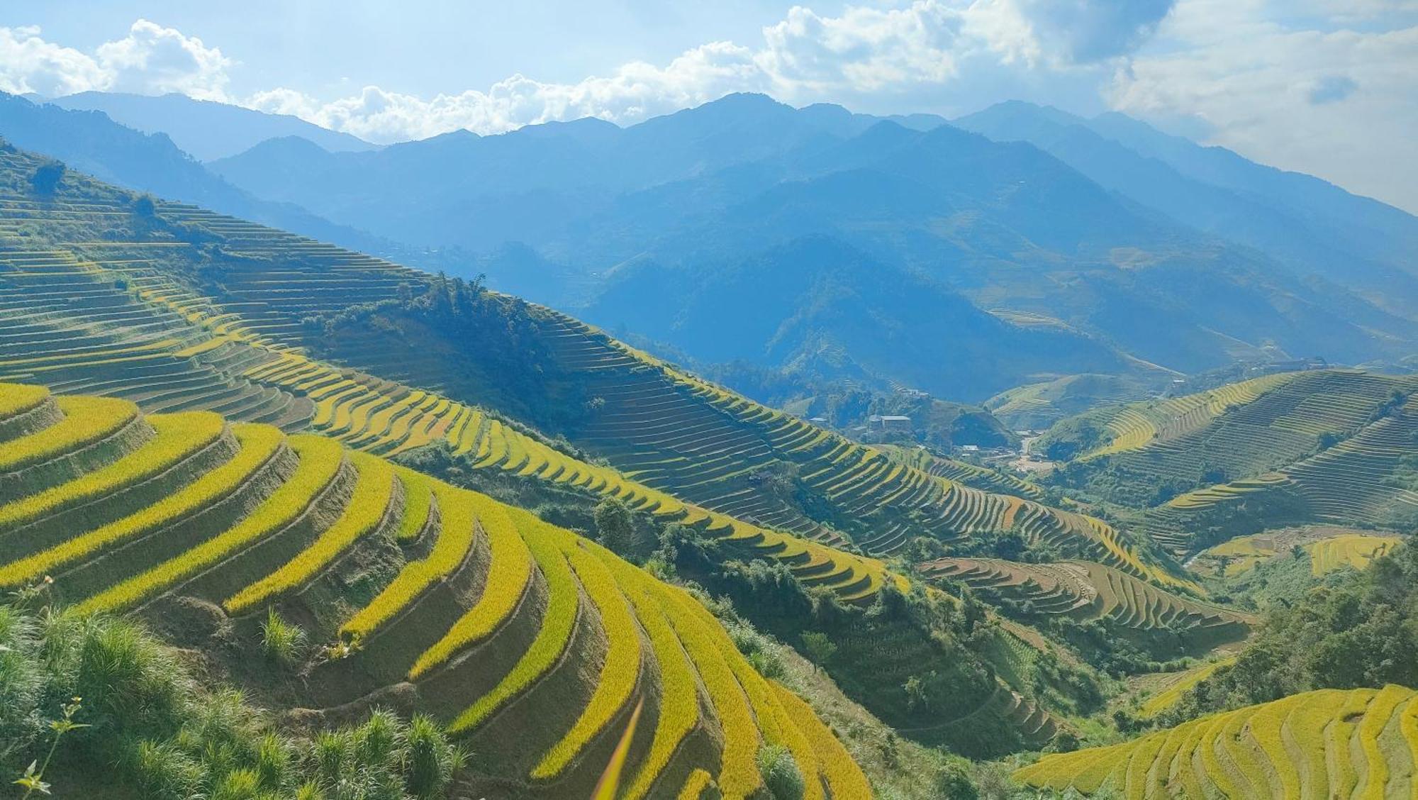 Indigenous Homestay- Trek- Food- Bus Mu Cang Chai Zewnętrze zdjęcie